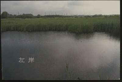 「左岸」
